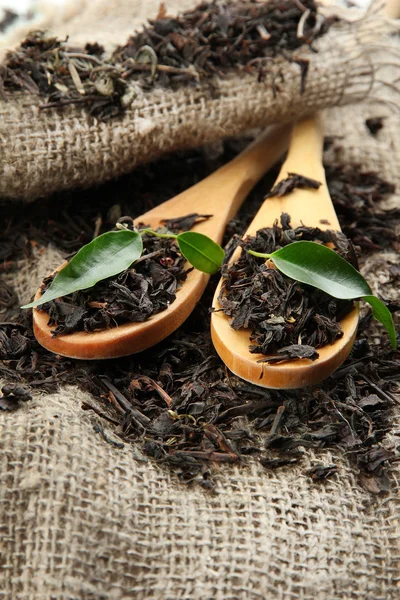 Сухой чай с зелеными листьями в деревянных ложках, на фоне мешковины — стоковое фото
