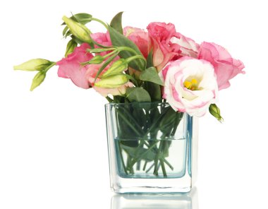 eustoma üzerinde beyaz izole Vazoda Çiçekler buket