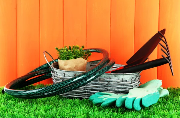 Tuingereedschap op gras in de tuin — Stockfoto