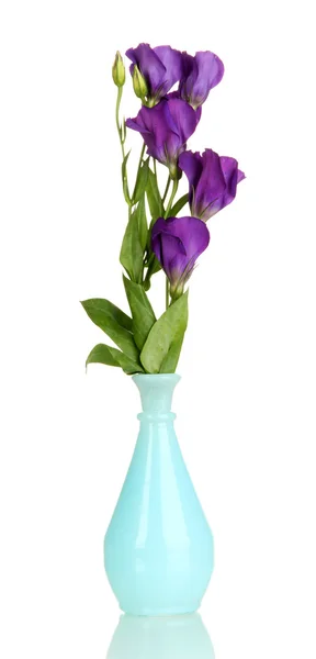 Bouquet of eustoma flowers in vase isolated on white — Stock Photo, Image