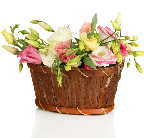Букет цветов эустомы в плетеной корзине изолирован на белом — стоковое фото