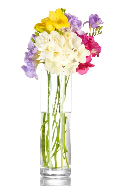Belo buquê de freesias em vaso transparente, isolado em branco — Fotografia de Stock