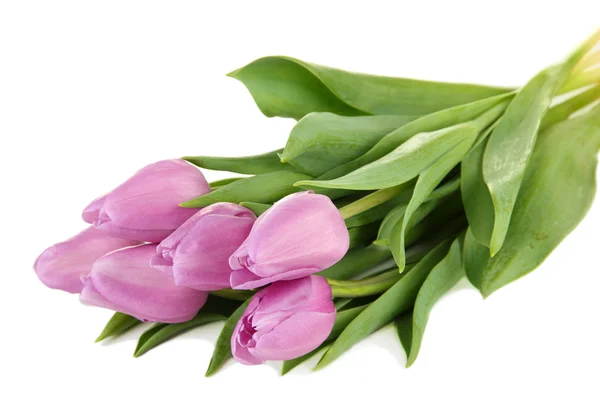 Bellissimo bouquet di tulipani viola, isolato su bianco — Foto Stock