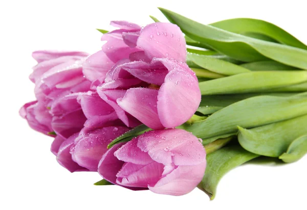 Beau bouquet de tulipes violettes, isolé sur blanc — Photo