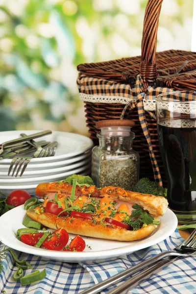 Смачний хот-дог на тарілці на пікніку крупним планом — стокове фото