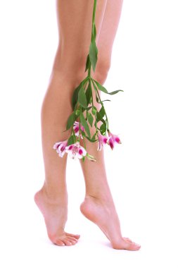 güzel kadın bacakları, üzerinde beyaz izole