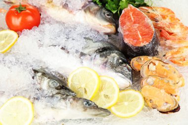 buz üstünde taze deniz ürünleri