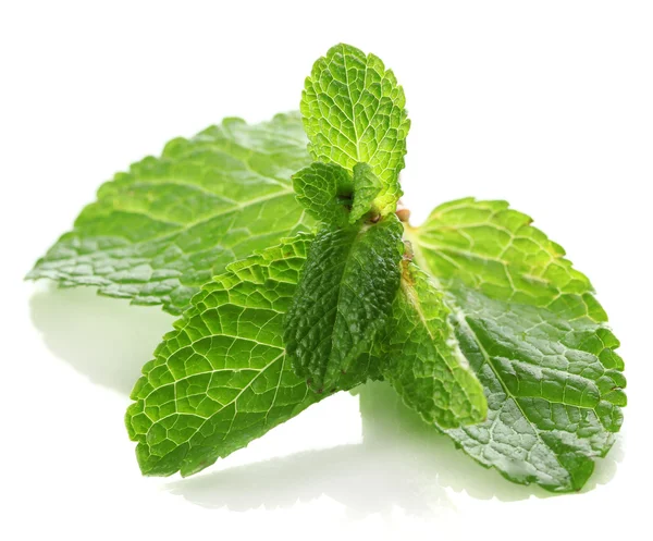 Mint isolated on white — Stock Photo, Image