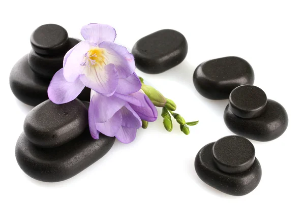 Spa kamienie i purpurowy kwiat, na białym tle — Zdjęcie stockowe