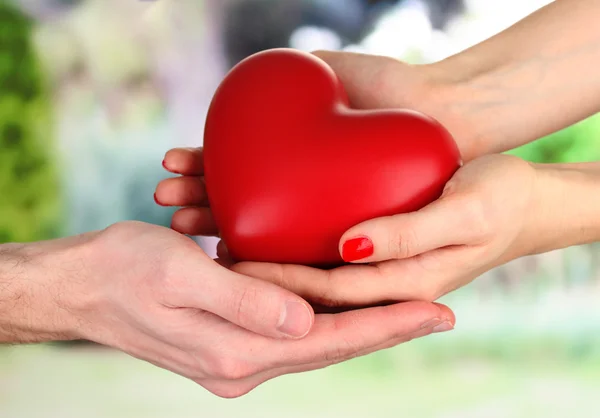 Red heart in woman and man hands, on green background — Stock Photo, Image