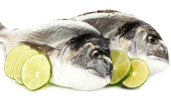 두 물고기 레몬도 라도 흰색 절연 — 스톡 사진