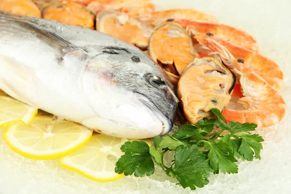 Fresh seafood on ice — Stock Photo, Image