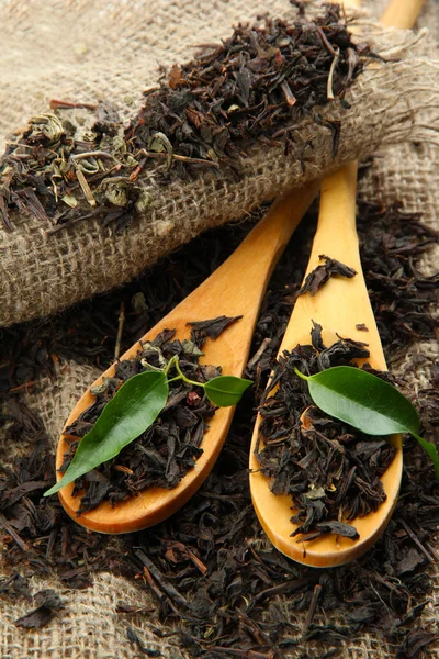 Trockener Tee mit grünen Blättern in Holzlöffeln, auf Klettengrund — Stockfoto