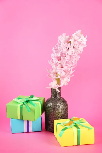 Beautiful hyacinth in vase and beautiful gifts, on color background — Stock Photo, Image