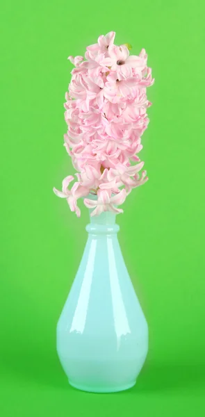 Mooie hyacint in vaas, op een achtergrond met kleur — Stockfoto