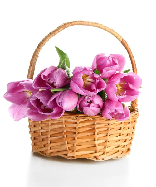 Beautiful bouquet of purple tulips in basket, isolated on white — Stock Photo, Image