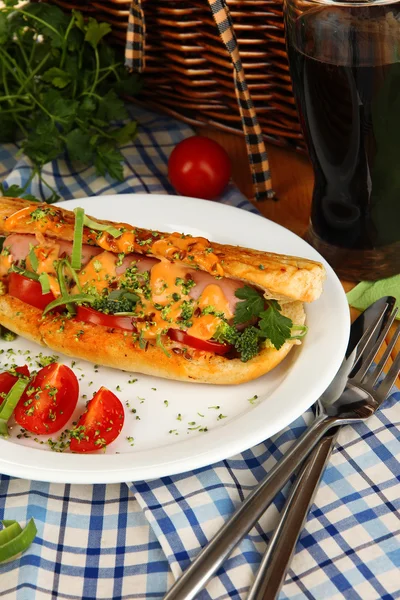 Delicious hot dog on plate at picnic close-up — Stock Photo, Image
