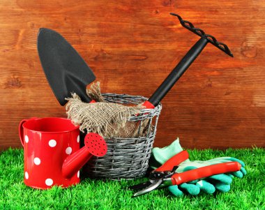 bahçede çimlerin üzerine Bahçe aletleri