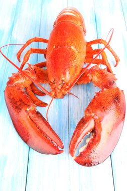 ahşap masa yakın çekim üzerinde kırmızı ıstakoz