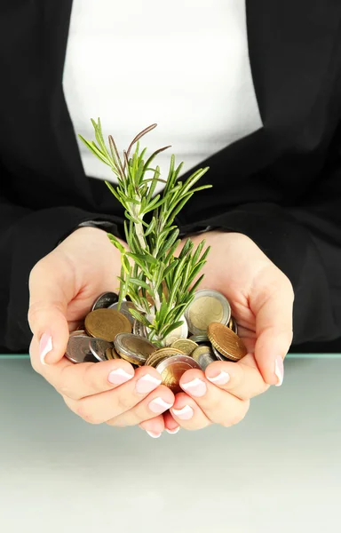 Mãos de mulher com planta verde e moedas isoladas no whit — Fotografia de Stock