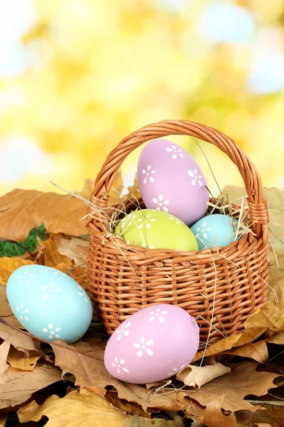 Velikonoční vejce v proutěném koši skryté v listí — Stock fotografie