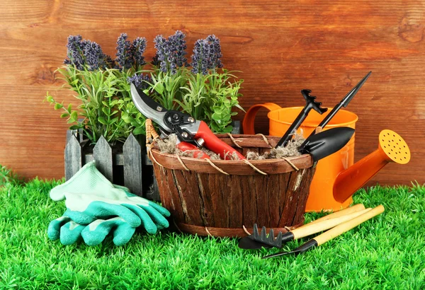 Tuingereedschap op gras in de tuin — Stockfoto