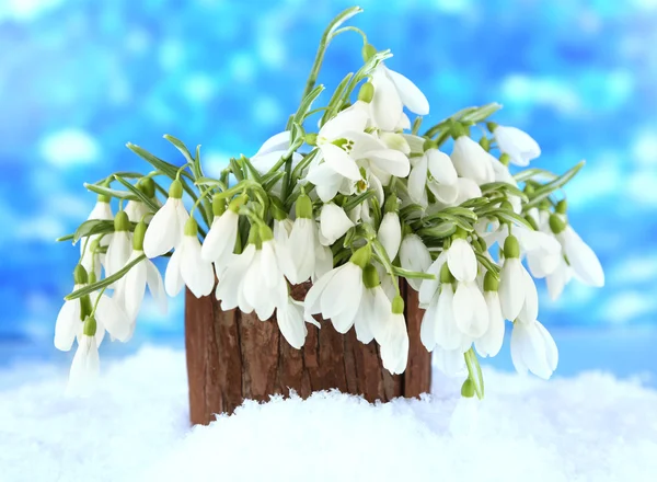 Bouquet of snowdrop flowers in vase with snow, on bright background — Stock Photo, Image