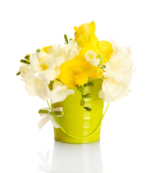 Bellissimo bouquet di fresie in secchio, isolato su bianco — Foto Stock