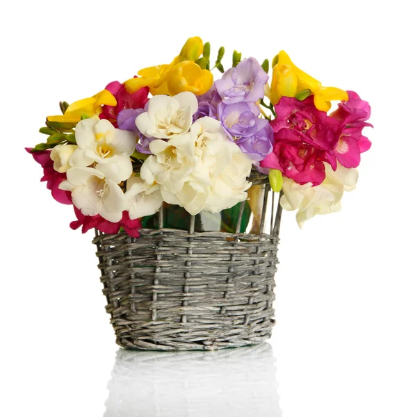 Hermoso ramo de freesias en cesta, aislado en blanco — Foto de Stock