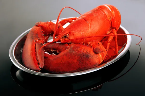 Red lobster on tray, on grey background — Stock Photo, Image