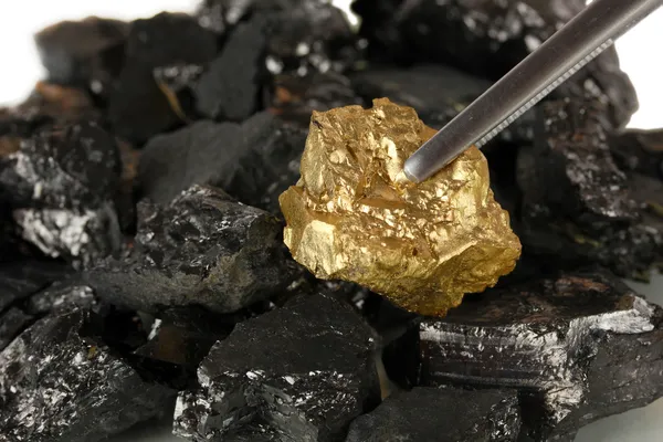 Пинцет с золотым самородком на фоне угля крупным планом — стоковое фото