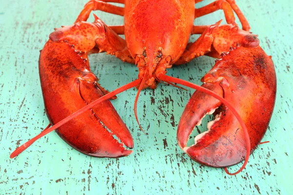 Homard rouge sur table en bois close-up — Photo