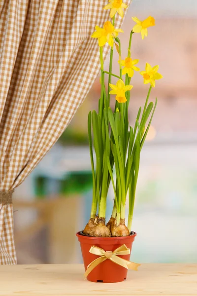 Krásné žluté narcisy v květináč na pozadí okna — Stock fotografie