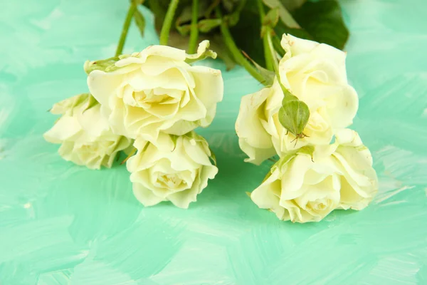 Beautiful white roses close-up, on color background — Stock Photo, Image