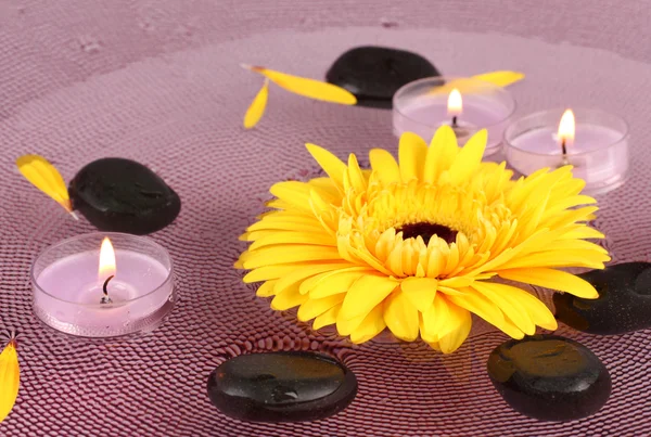 Wellness-Steine mit Blumen und Kerzen in Wasser auf Teller — Stockfoto