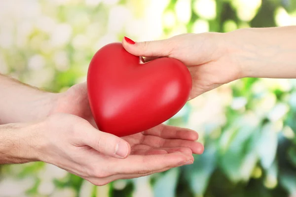 Red heart in woman and man hands, on green background — Stock Photo, Image