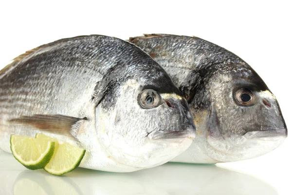 Iki balık dorado limon ile üzerine beyaz izole. — Stok fotoğraf