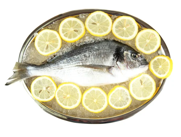 Poisson frais de dorado sur plateau au citron et persil isolé sur fond blanc — Photo