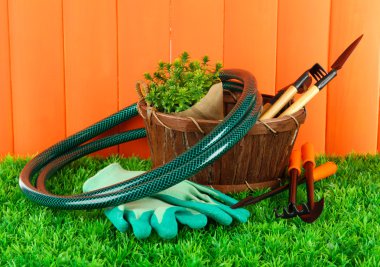 bahçede çimlerin üzerine Bahçe aletleri