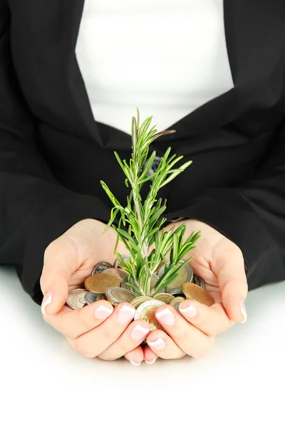 Woman hands with green plant and coins isolated on whit — Stock Photo, Image