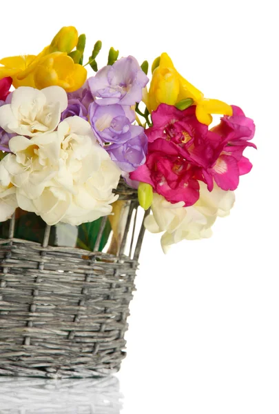 Bellissimo bouquet di fresie in cesto, isolato su bianco — Foto Stock