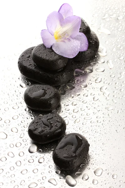 Pedras de spa e flor roxa, no fundo molhado — Fotografia de Stock