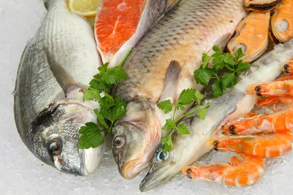 Fresh seafood on ice — Stock Photo, Image