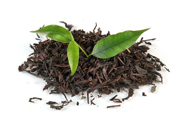 Té negro seco con hojas verdes, aislado sobre blanco — Foto de Stock