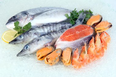 buz üstünde taze deniz ürünleri