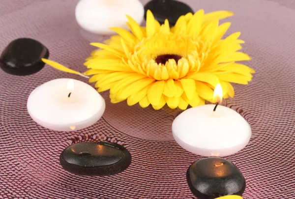 Spa kamienie z kwiatów i świec w wodzie na talerzu — Zdjęcie stockowe