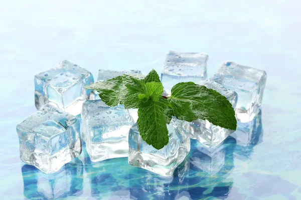Eis mit Minze auf hellem Hintergrund — Stockfoto