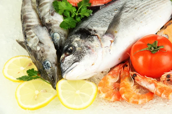 Fresh seafood on ice — Stock Photo, Image