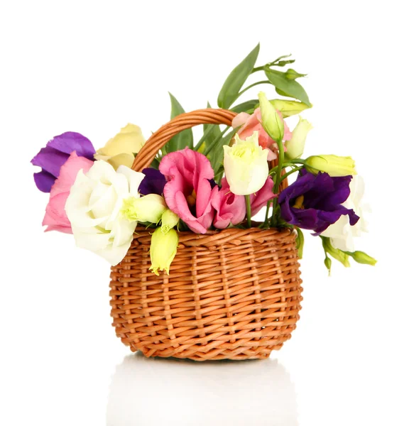 Bouquet of eustoma flowers in wicker basket isolated on white — Stock Photo, Image