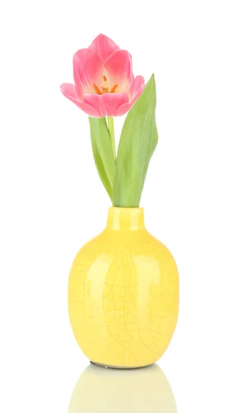 Pink tulip in bright vase, isolated on white — Stock Photo, Image